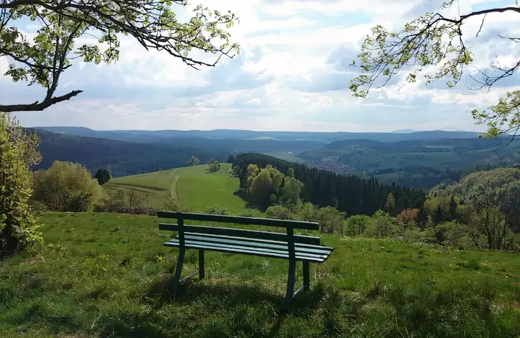 Chalet Haus am Waldrand mit Sauna und Kamin  3