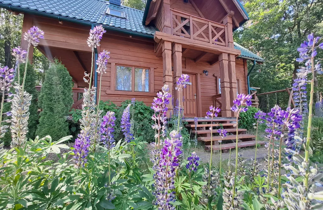 noclegi AlohaCamp Przystanek Jezioro 5