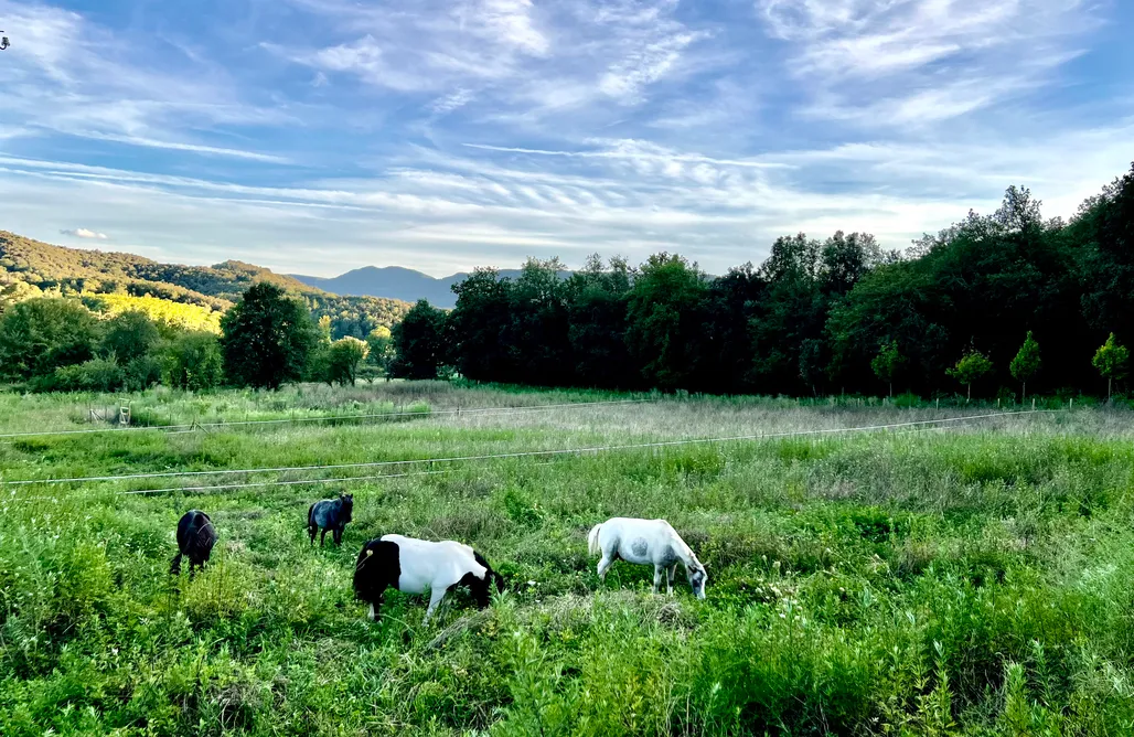 AlohaCamp accommodation Mas Campassol 1