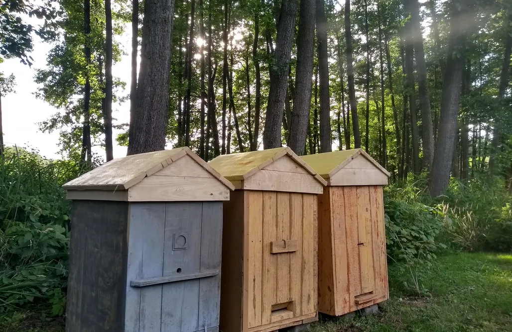 Pole Namiotowe Międzyzdroje Miejsce kamperowe i namiotowe - Grotów 5  1