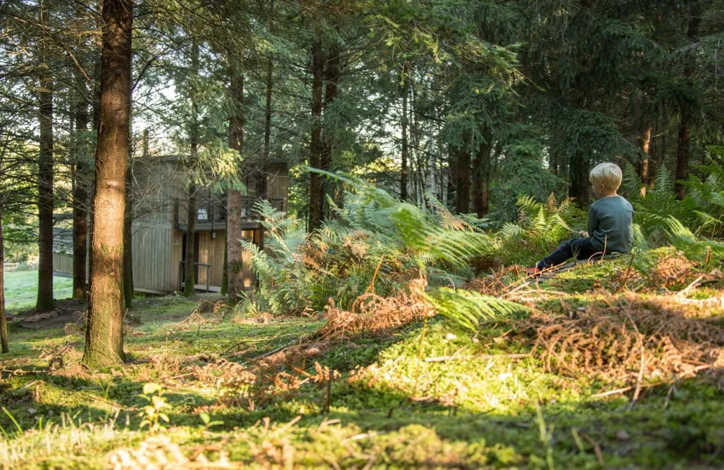 Hébergement AlohaCamp Domaine Spalazen Nature 5