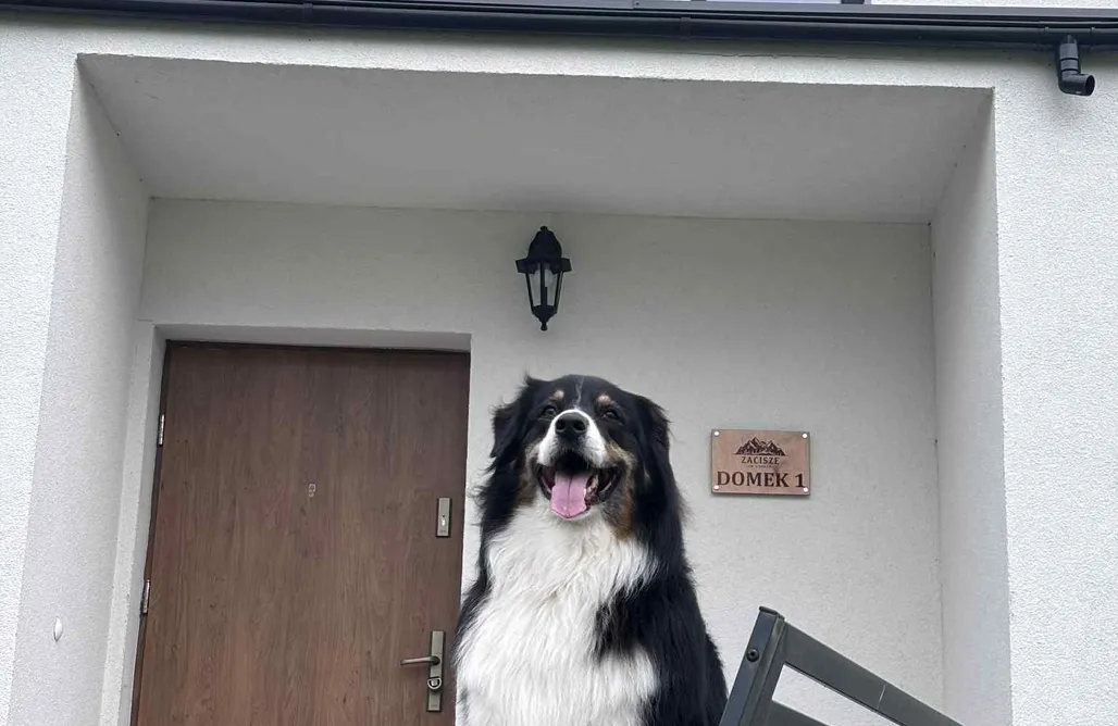 AlohaCamp Domek nr 1 1