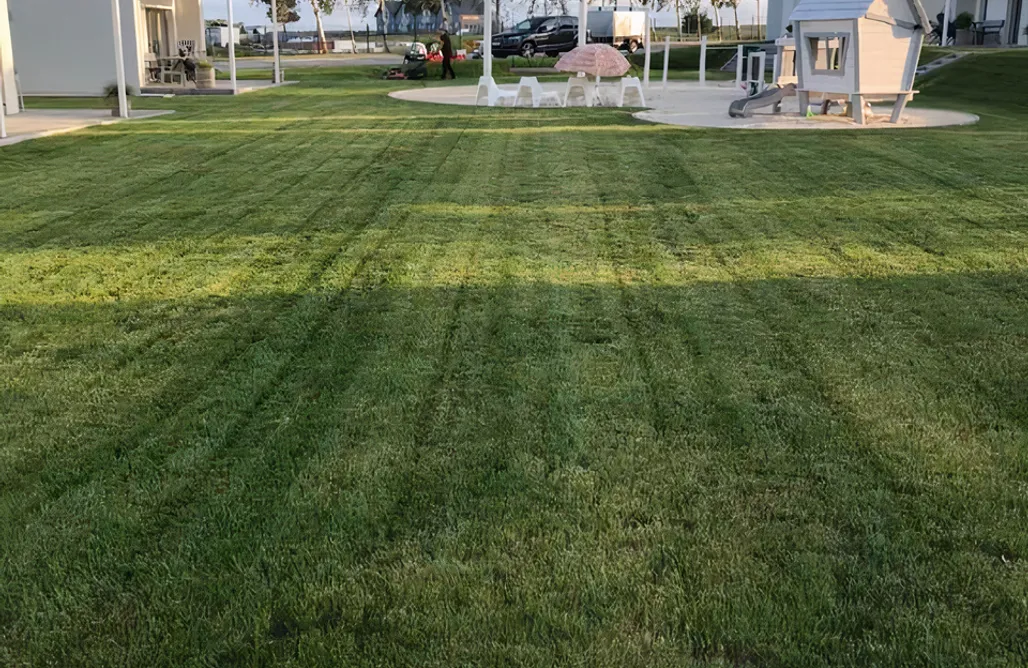 AlohaCamp Pas Kropka Groch 1