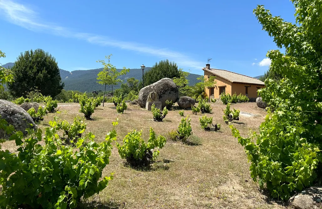 noclegi AlohaCamp Rural Las Viñas Casa Naranja  2