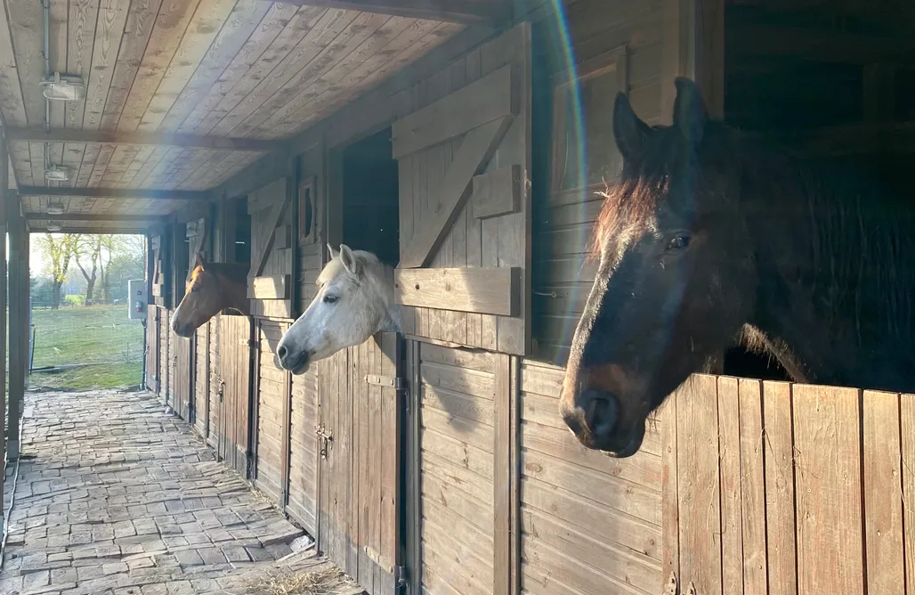 Noclegi Nad Jeziorem Lubuskie ⛵️ Chatka na Wiedźmiej Górce - lawenda i werbena 1