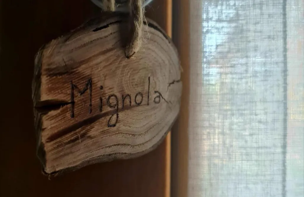 noclegi AlohaCamp Agriturismo Corte degli Ulivi 1