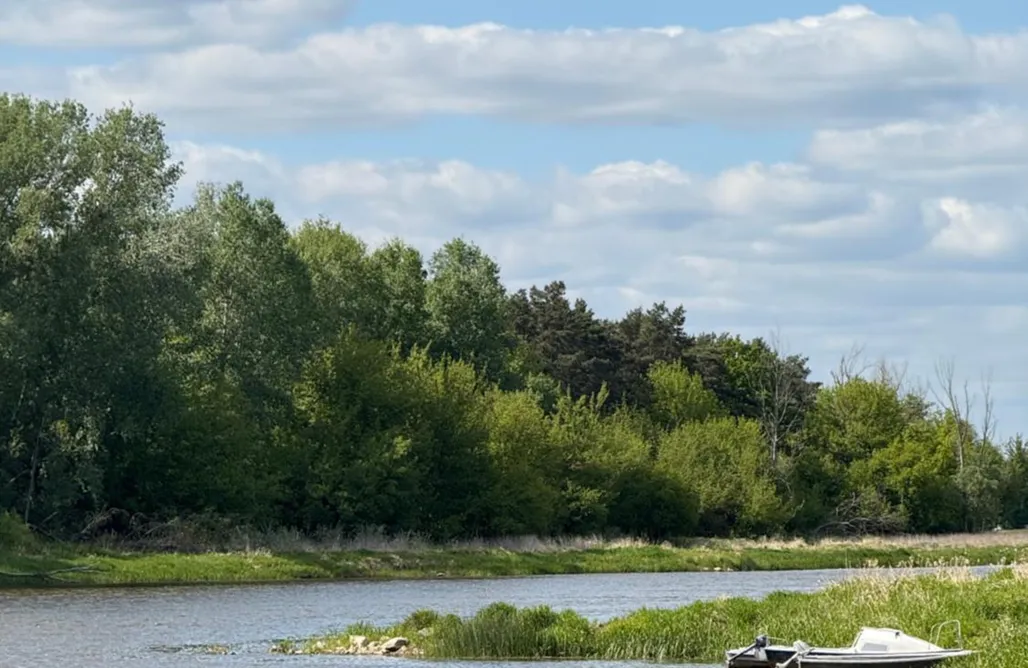 AlohaCamp accommodation Domek w lesie 1