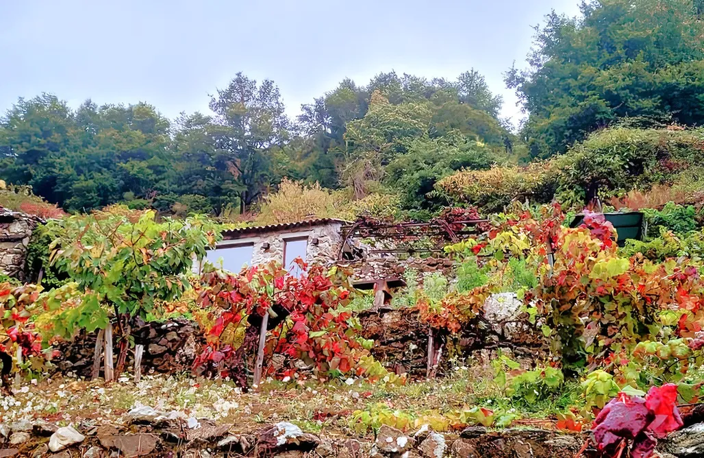 noclegi AlohaCamp Cabaña do rei  4
