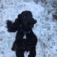 Wiktoria użytkownik