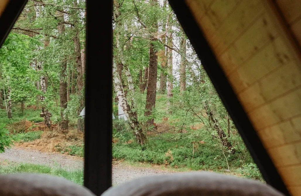 AlohaCamp Gawlicówka 3