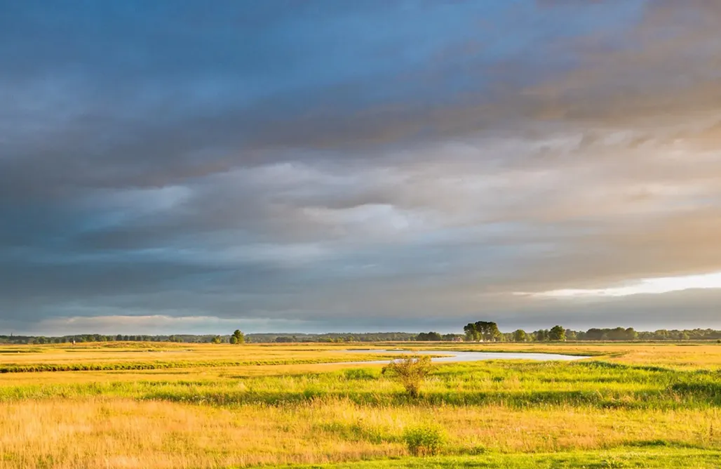 Ferienhaus direkt am Strand Ferienhaus Austernfischer 1