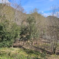 LES VINYES CATALUNYA ESTATE ospitante Mas Nou