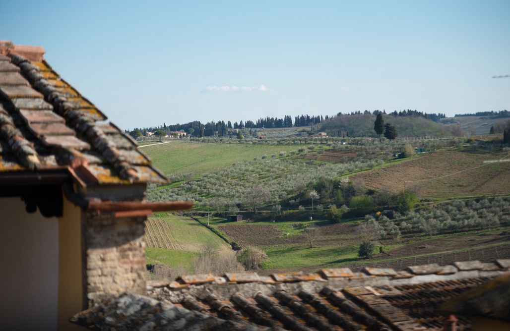 Chalet Pisa Casa spaziosa stile toscano, in un piccolo villaggio fra olivi e vigne 1