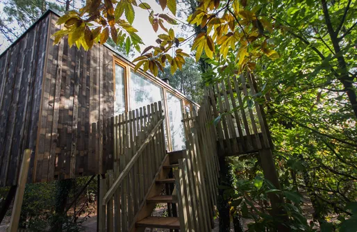 Zdjęcie obiektu Cabañitas del Bosque 