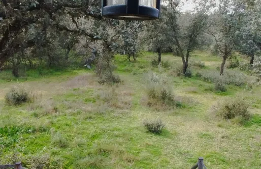 Imagen de El Vagón Alegre