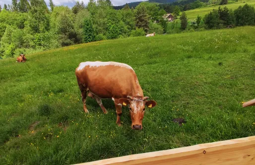 Zdjęcie obiektu Góralskie Domki na Podhalu z Jacuzzi
