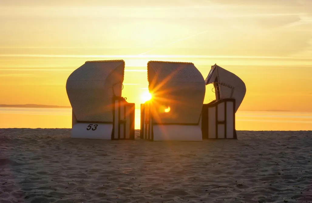 Hütte Im Wald Mieten Zingst Stettiner Haff Nebengebäude 1