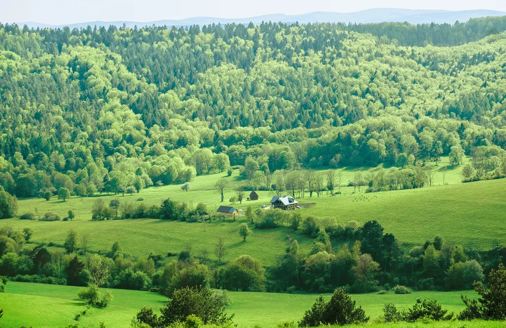 AlohaCamp Domek Tarnica  1