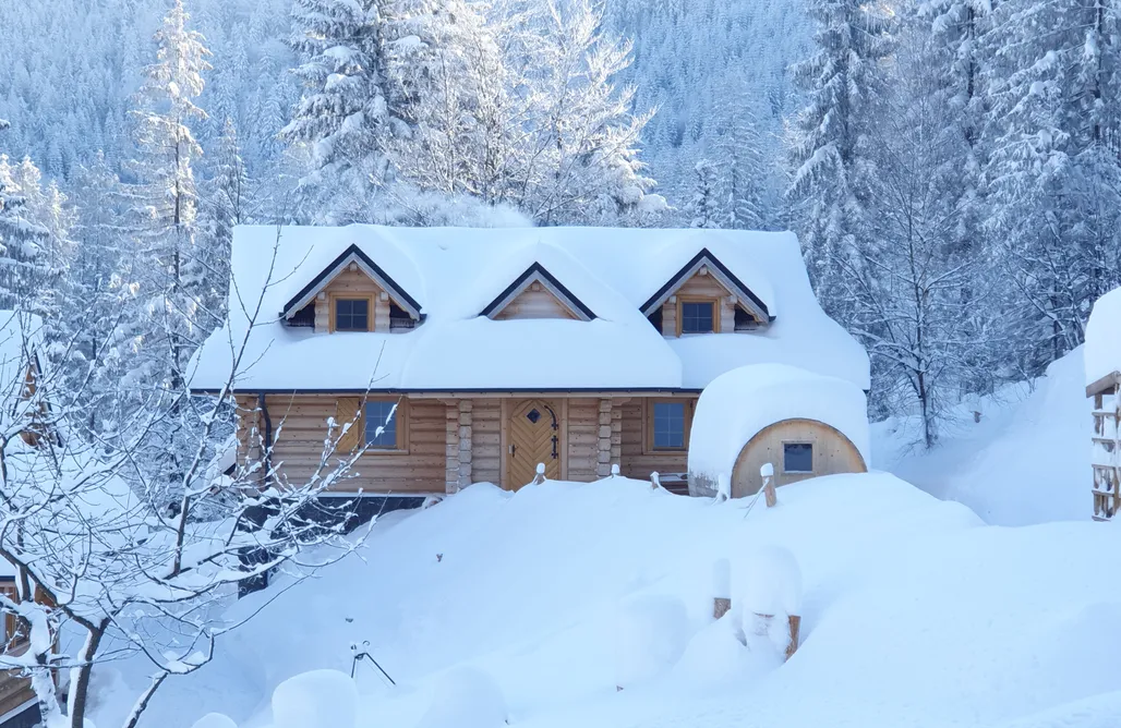 Kamesznica Domki Dom pod Baranią - siedlisko 2