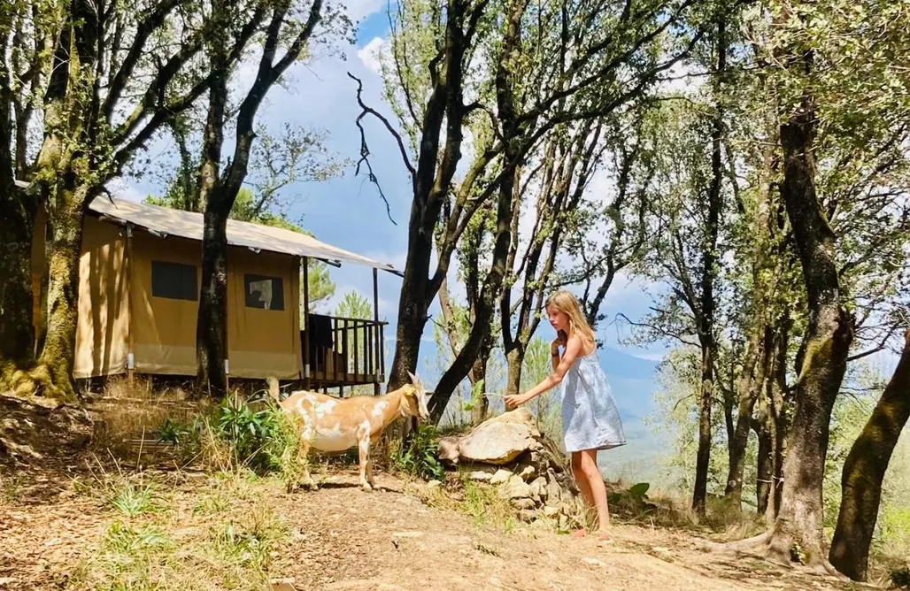 Unterkunft AlohaCamp Lodge A Nassa 5