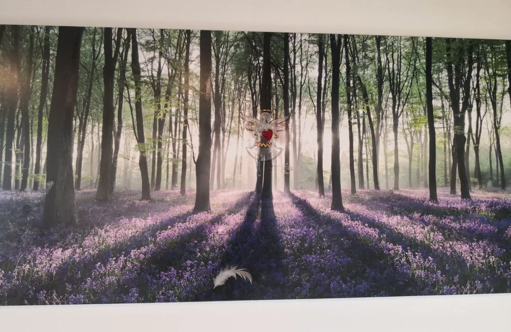 AlohaCamp Braunfels  3