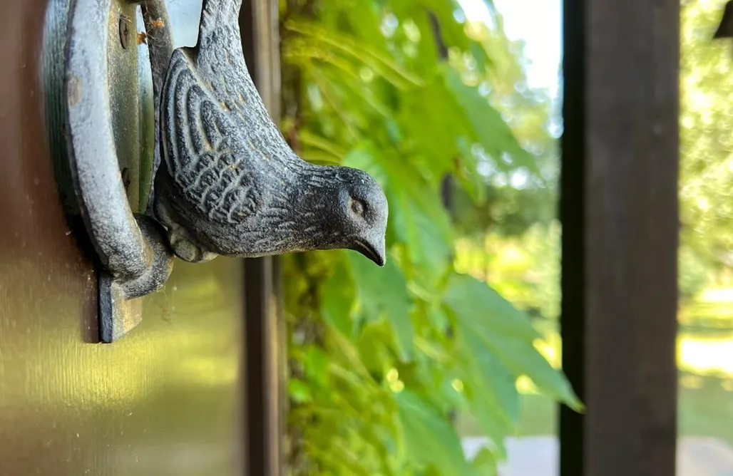 AlohaCamp Siedlisko Nawłoć 1