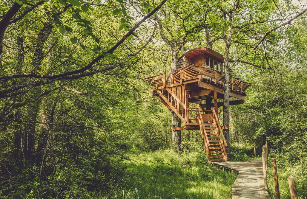 AlohaCamp Suite Triku 2