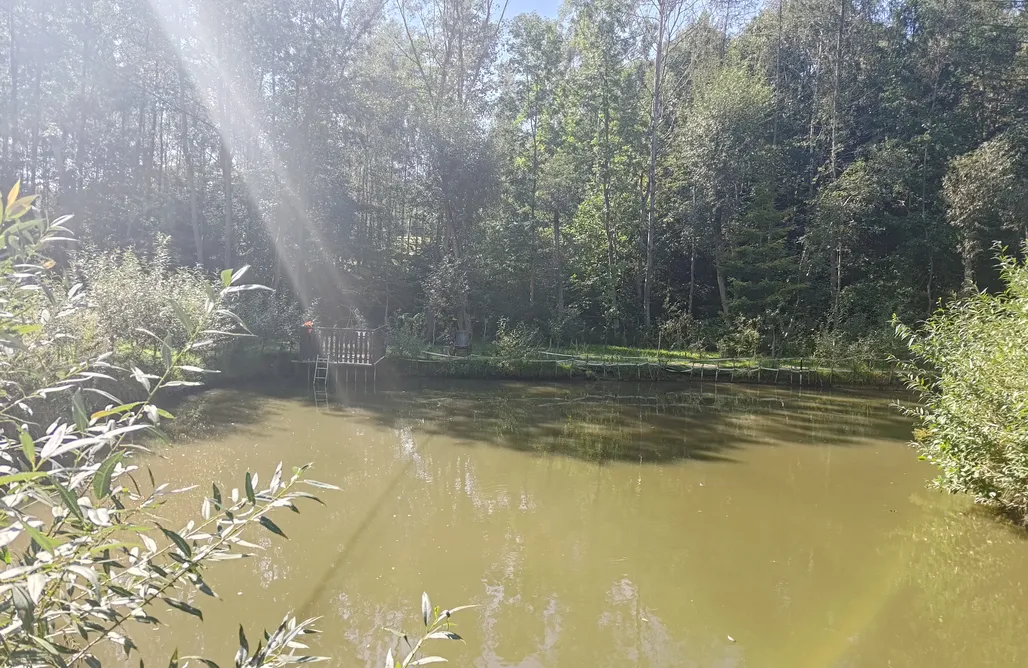 Miejsce kamperowe i namiotowe - Camping Zacisze AlohaCamp