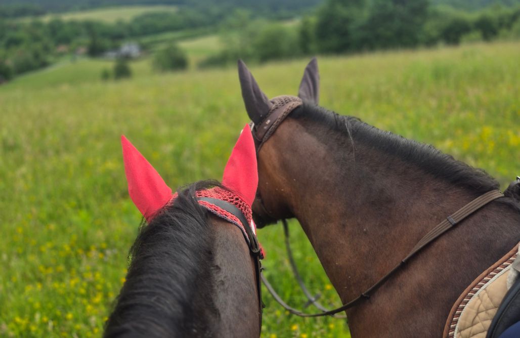 noclegi AlohaCamp Domek Ranczo Podkówka "przed" Bieszczady 1