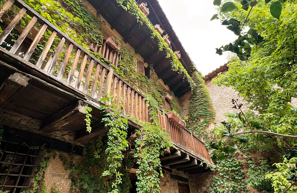 noclegi AlohaCamp La Casa del Bosque 2