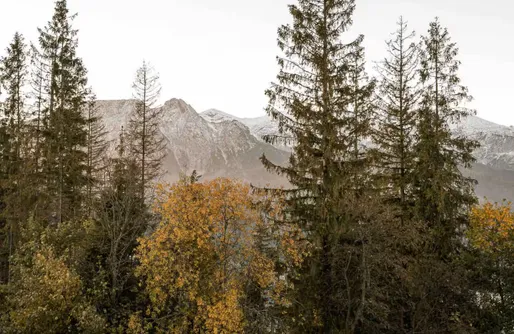 Zdjęcie obiektu Domek Bliżej Nieba