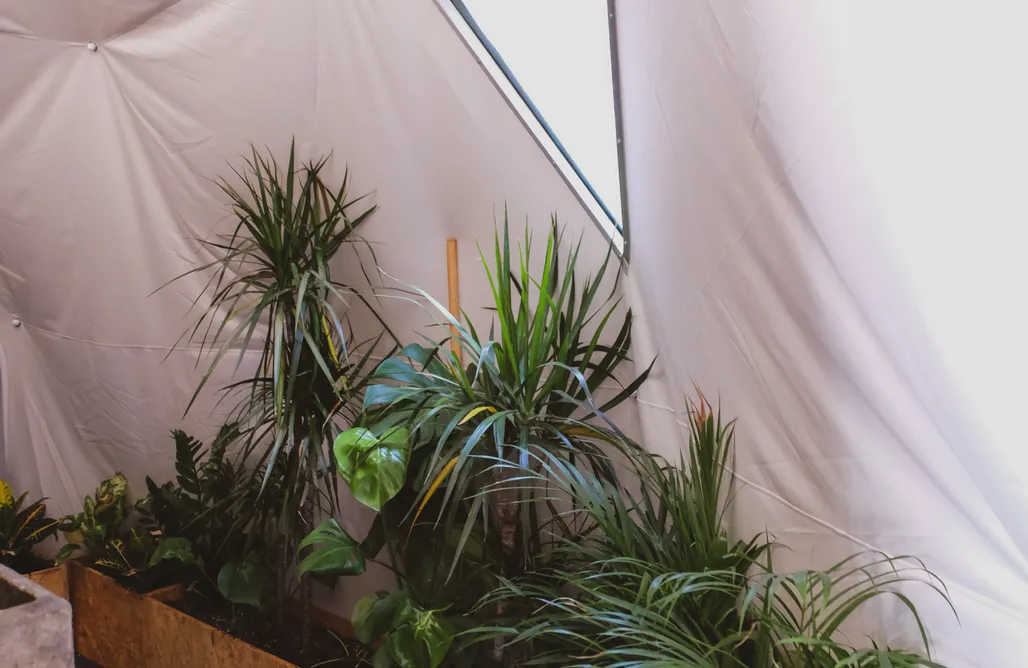 alojamientos AlohaCamp Seed Domo Tarifa 1