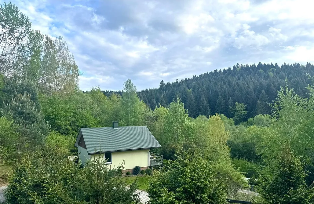 noclegi AlohaCamp Domki przy lesie i blisko jeziora 1