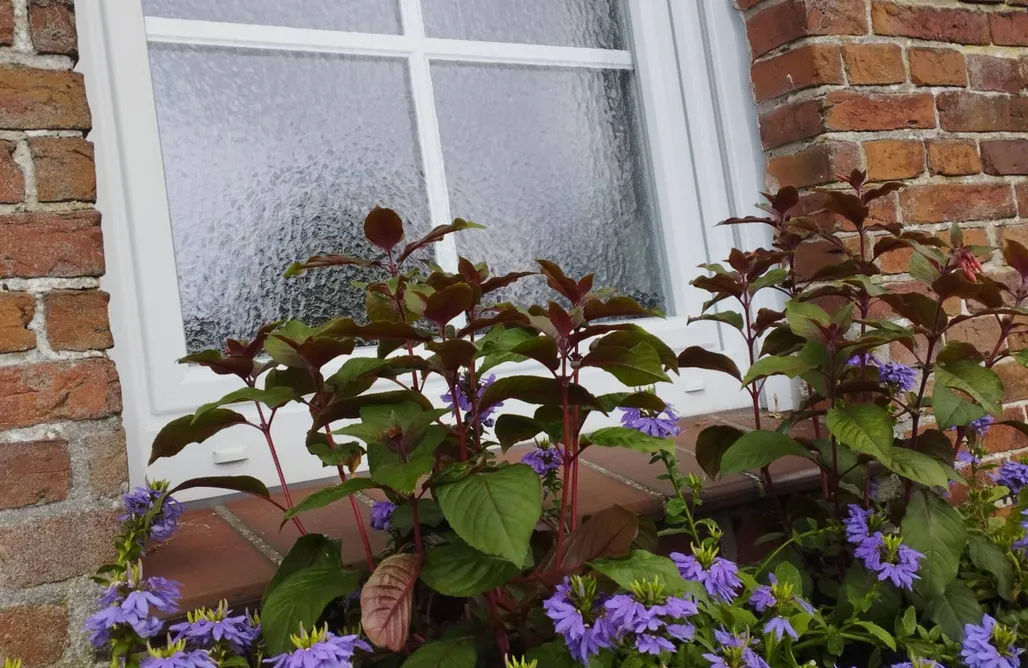 Ferienhaus direkt am Strand Ferienhaus Schenum 1