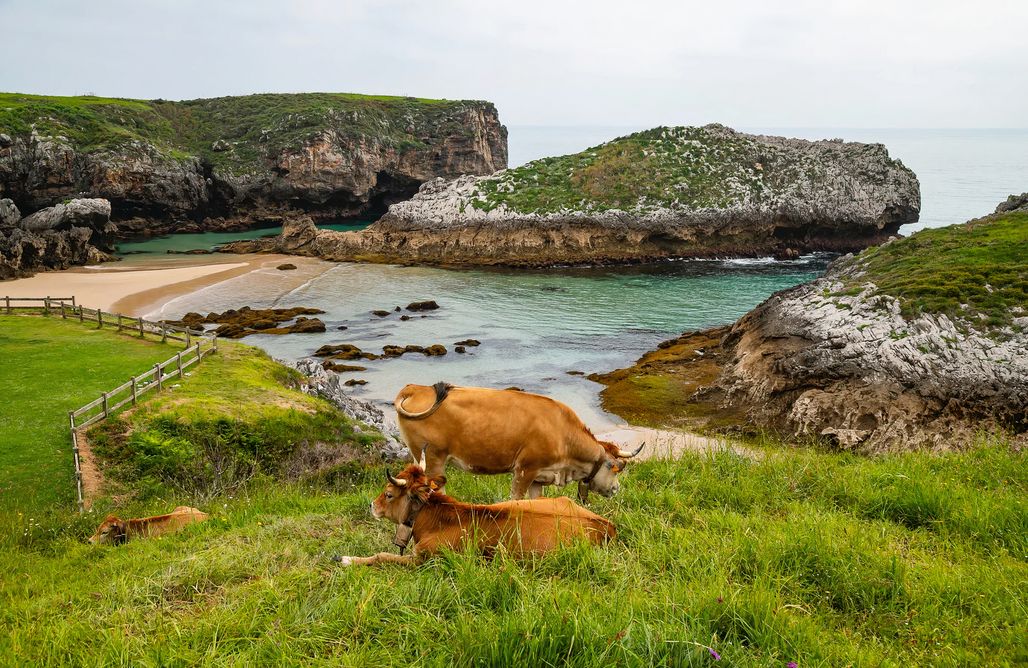 AlohaCamp Villa El Ñeru 1