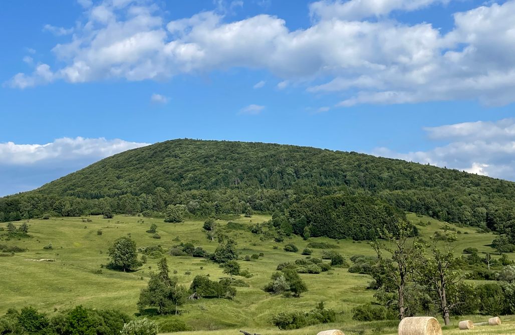 alojamientos AlohaCamp Jurta w Dolinie Niedźwiadka 1