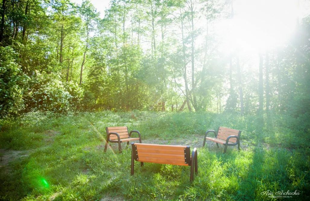 Domki nad Jeziorem Białystok Domek na Polanie nad jeziorem. 1