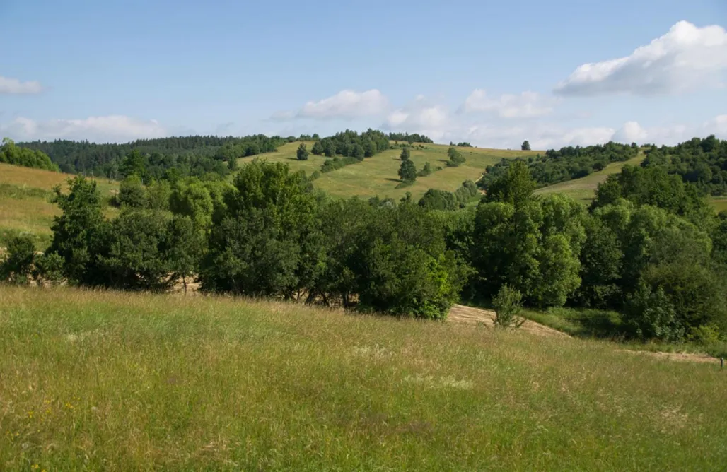 AlohaCamp accommodation Anielskie Wzgórze 4