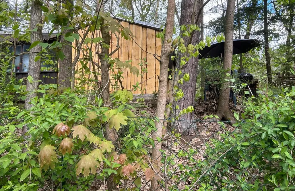 Hébergement AlohaCamp Bungalow Biberspur 1