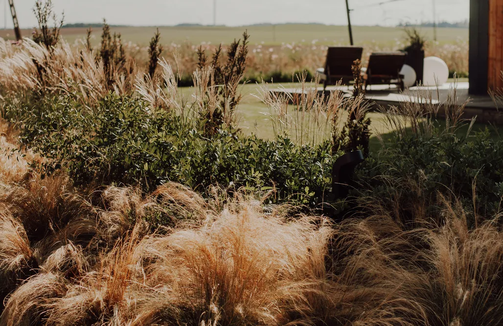 noclegi AlohaCamp Przylądek marzeń 1