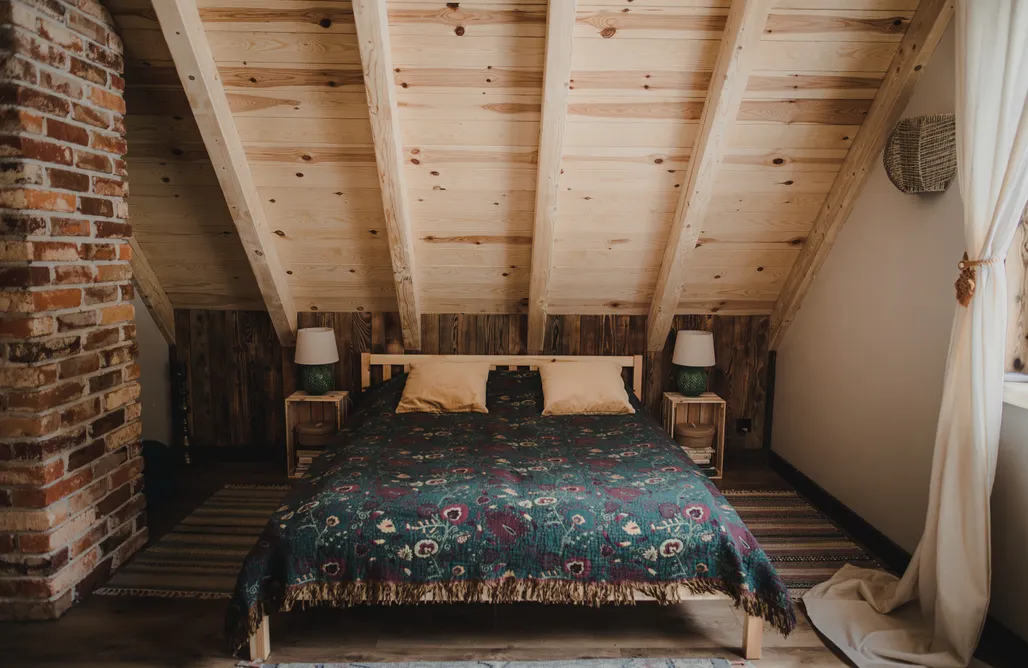 AlohaCamp Mech i brzoza 2