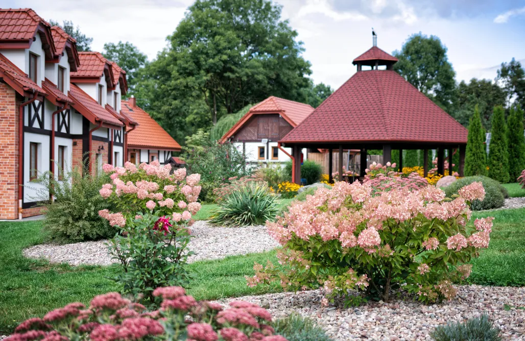 Gdzie na Grzyby Uroczysko Lutówko 1