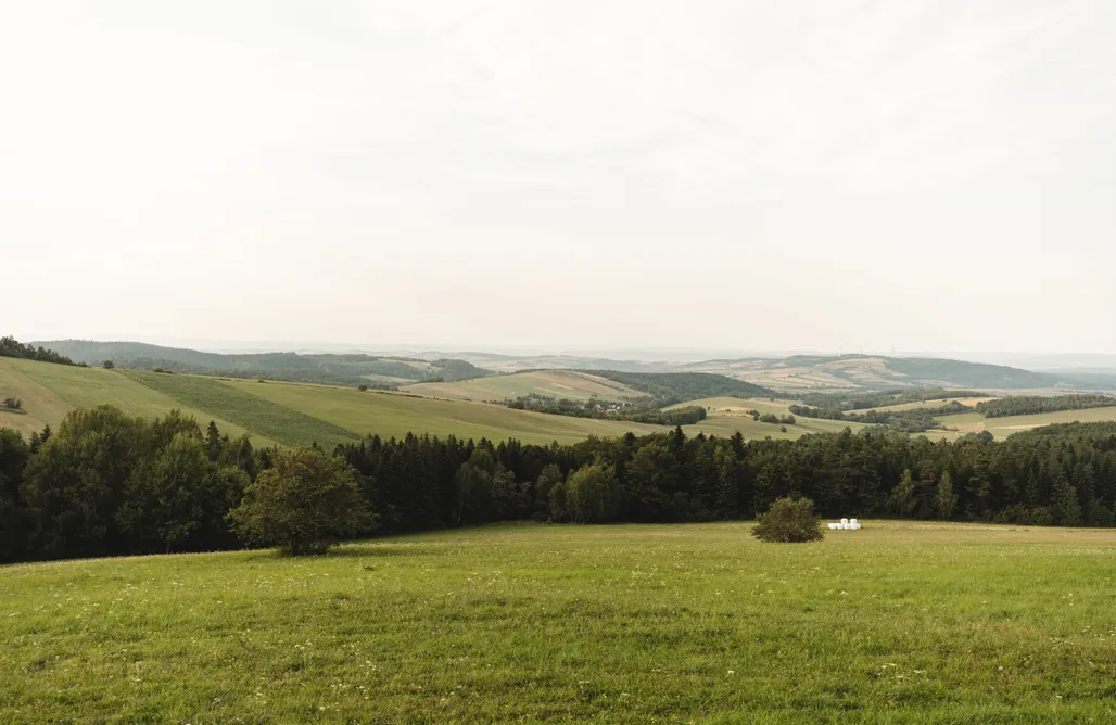AlohaCamp accommodaties Bukowica Miła - Boswachterij met eco-sauna 4