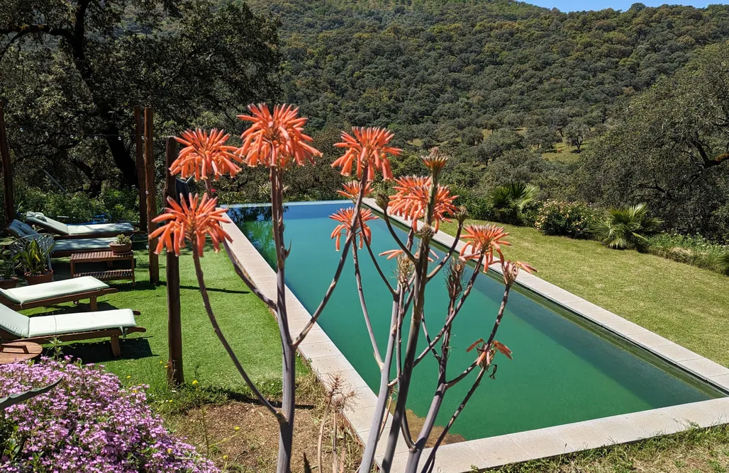 AlohaCamp accommodation Finca Bravo: Casa de Campo 3