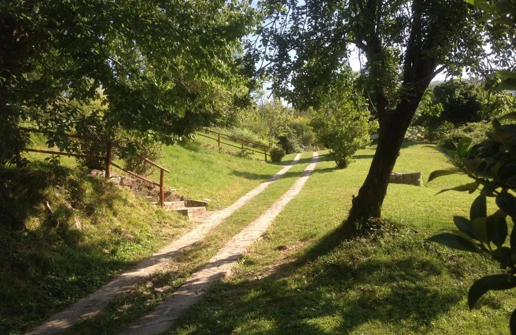 Alloggio AlohaCamp Agriturismo Basaletto 5
