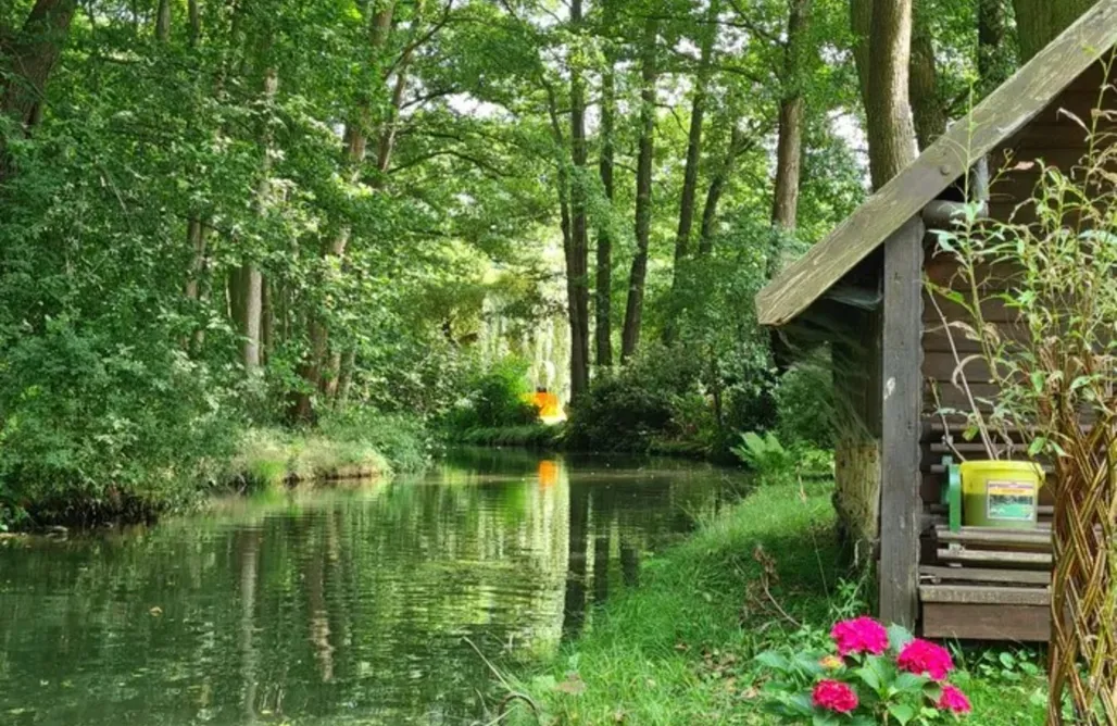 Ferienhaus mit  Terrasse in der Mitte der Natur AlohaCamp