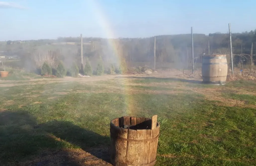 Pole campingowe mazowieckie Miejsce kamperowe - Winnica Wieczorków 3