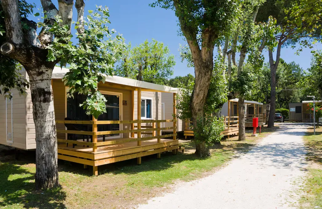 Sea & Sun - domek mobilny blisko morza AlohaCamp