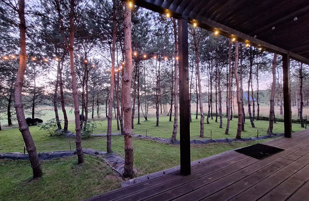Bungalow Tiny House Vitré dans la Forêt 1