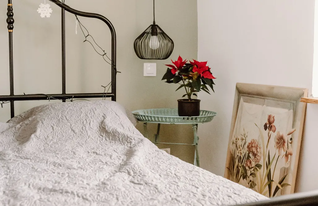 AlohaCamp Czereśniowy Dom 2